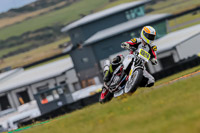 PJ-Motorsport-2019;anglesey-no-limits-trackday;anglesey-photographs;anglesey-trackday-photographs;enduro-digital-images;event-digital-images;eventdigitalimages;no-limits-trackdays;peter-wileman-photography;racing-digital-images;trac-mon;trackday-digital-images;trackday-photos;ty-croes